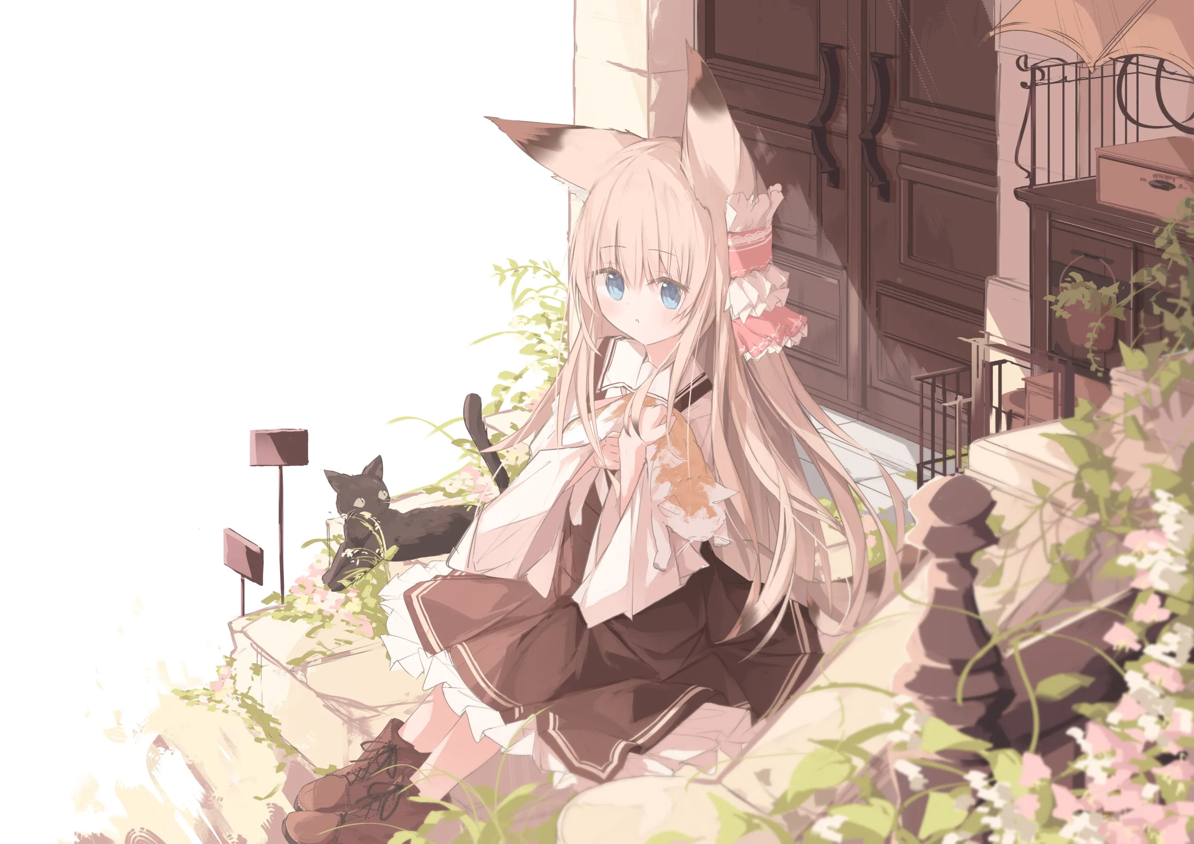 h-806