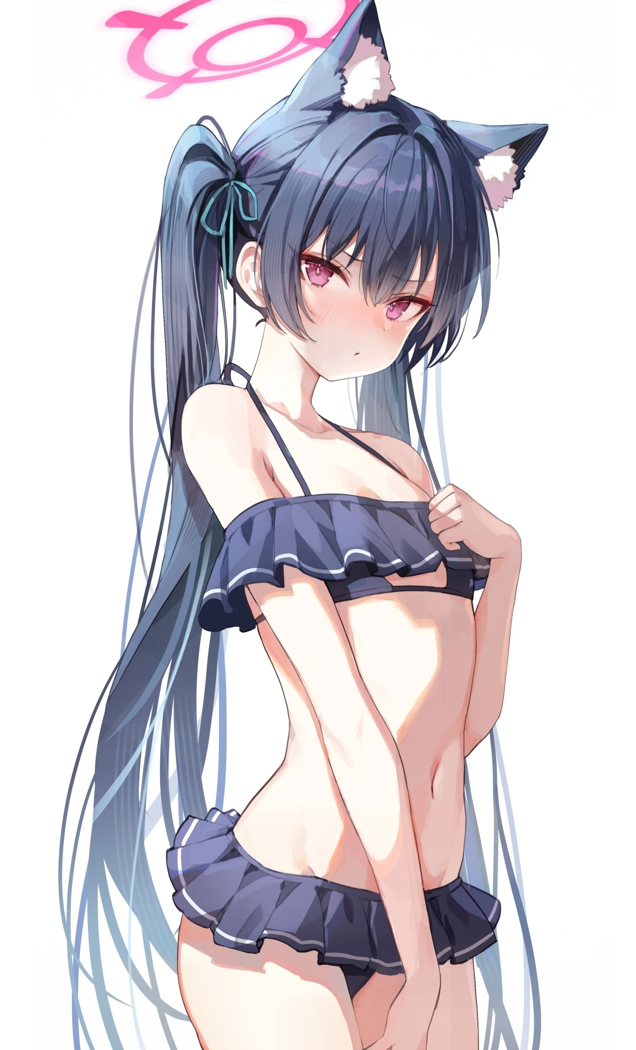 v-3011