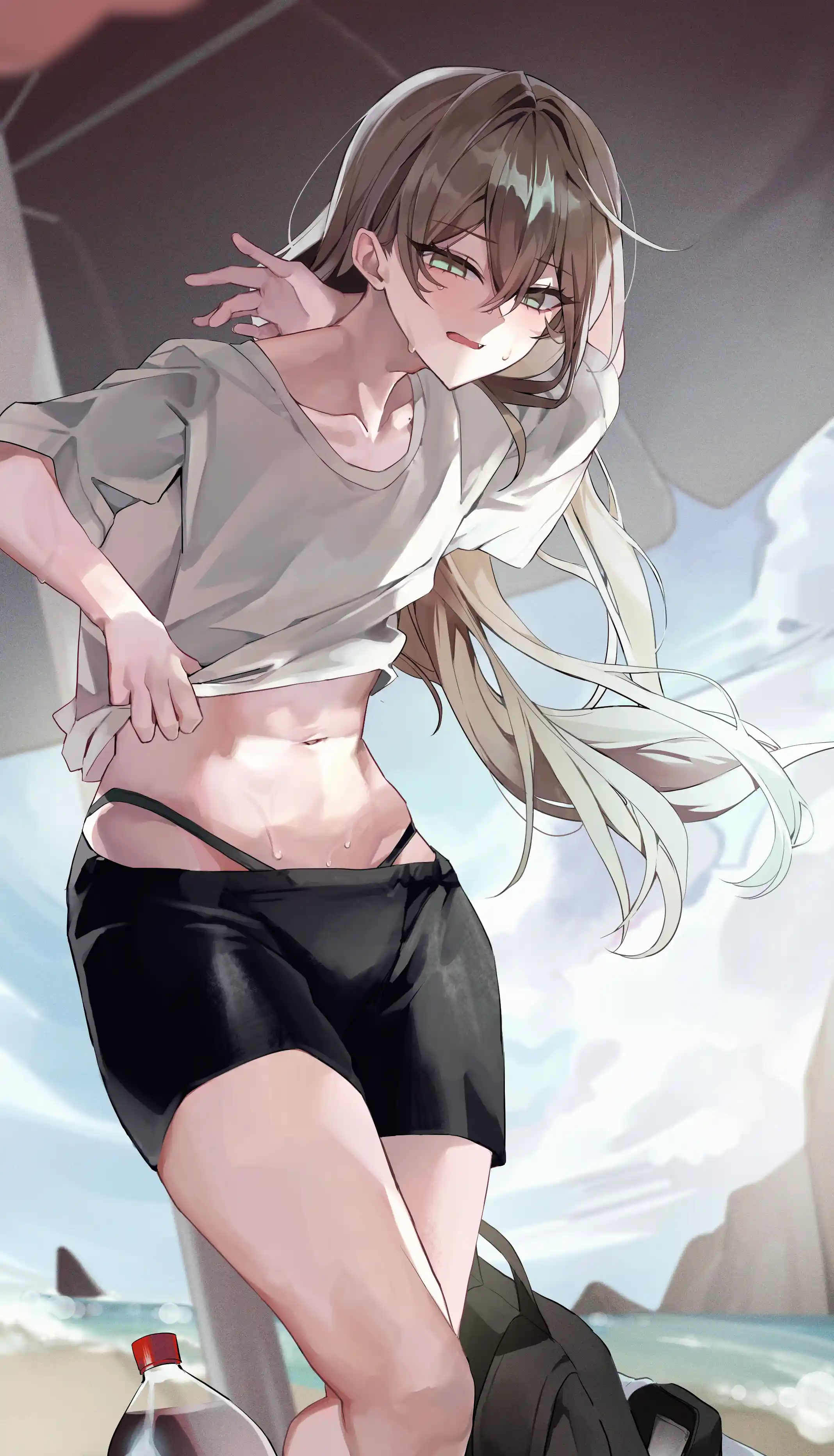 v-3617