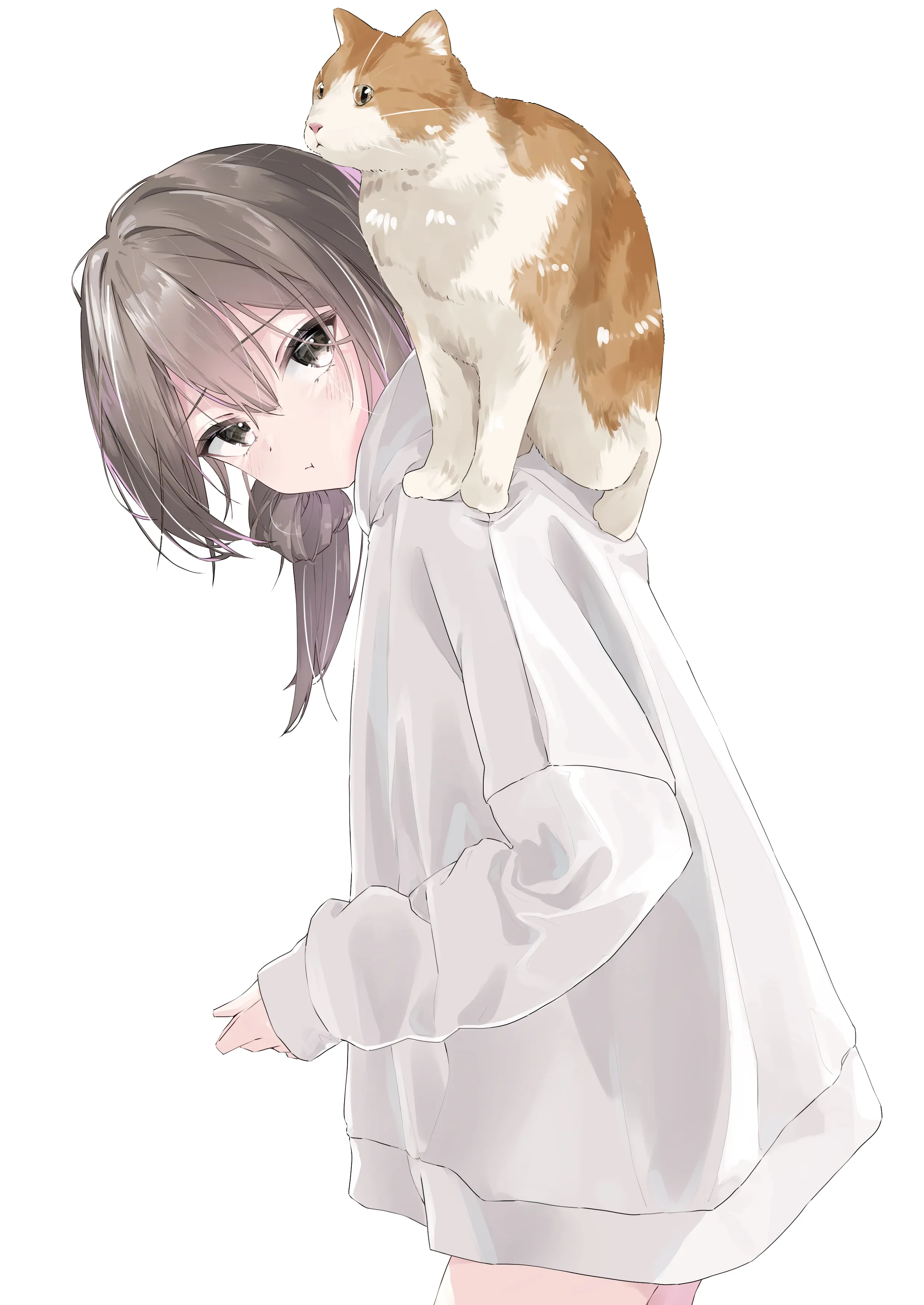 v-895