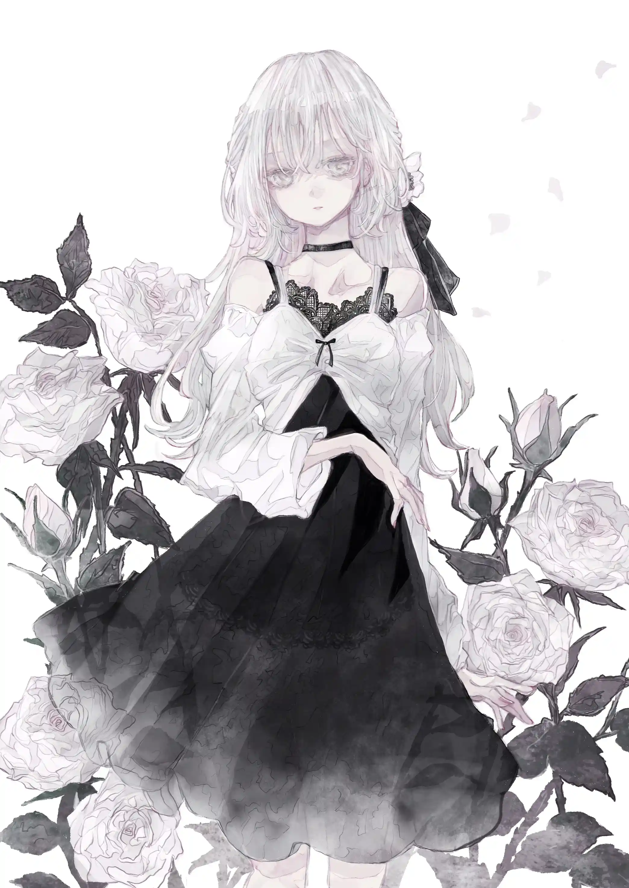 v-979